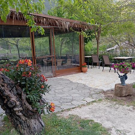 Xenonas Souliou Hotel Samonída Exterior foto