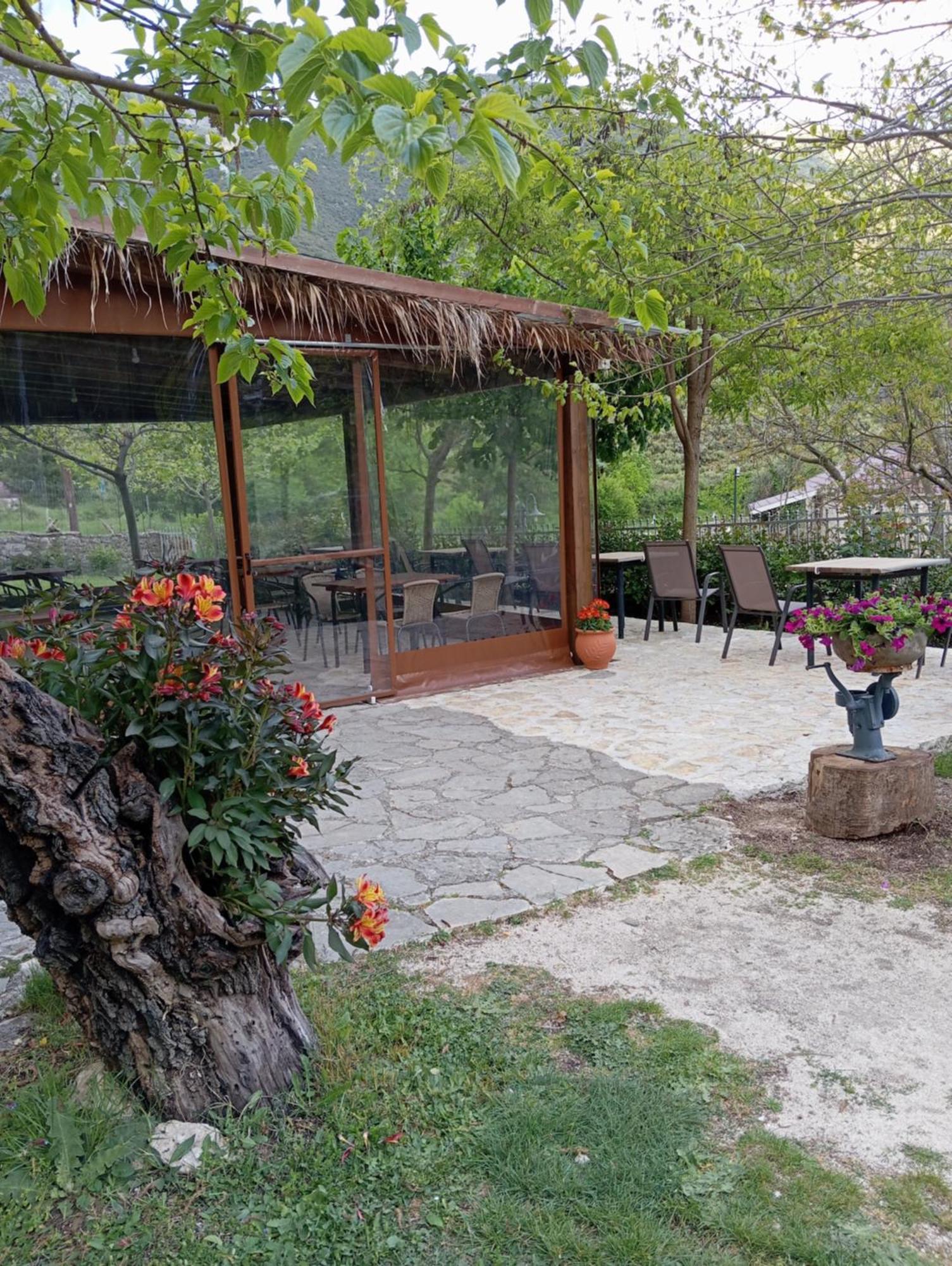 Xenonas Souliou Hotel Samonída Exterior foto